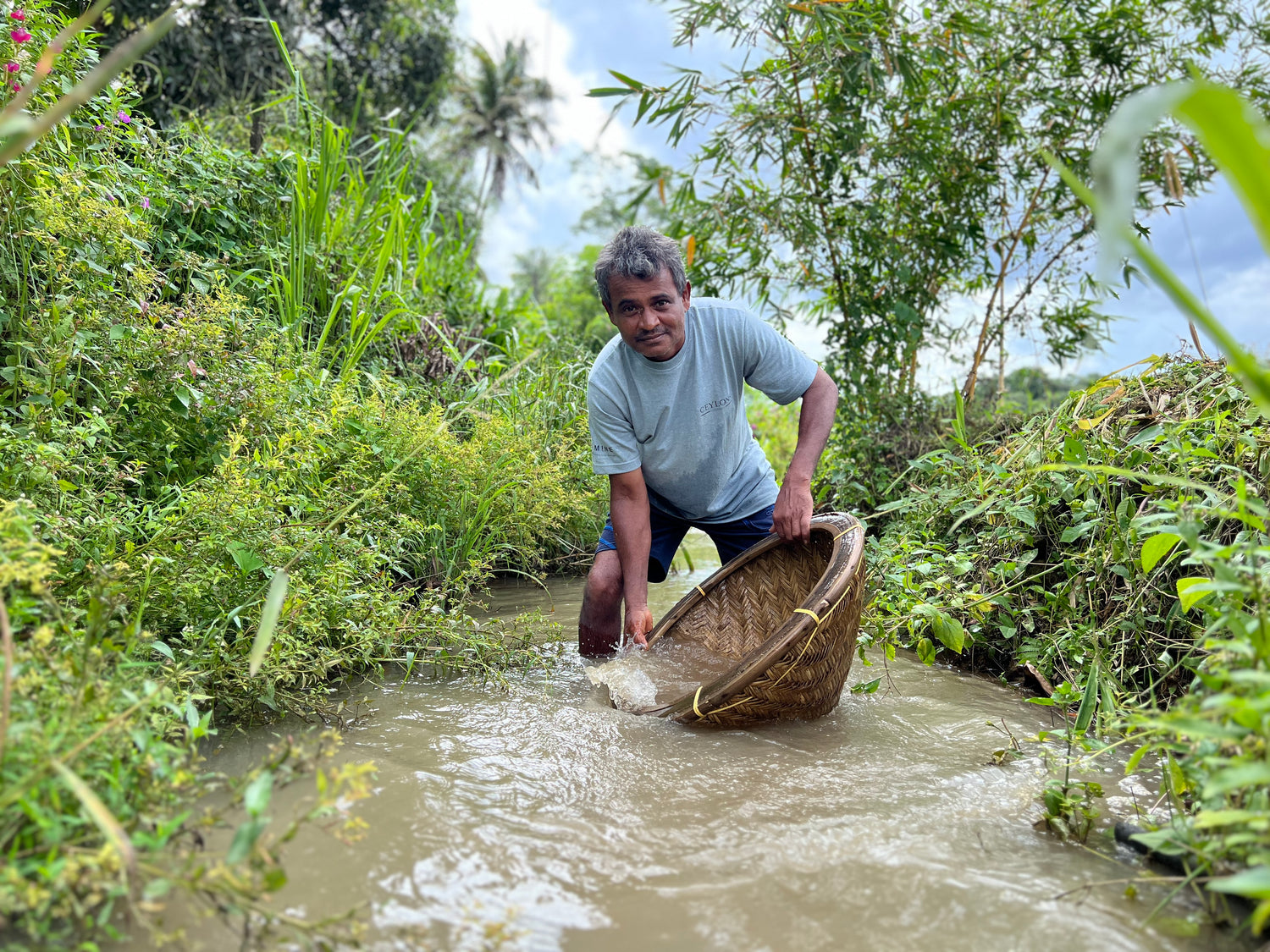 Faire Roh Saphire werden in Sri lanka von Hand im Flussbett ausgewaschen