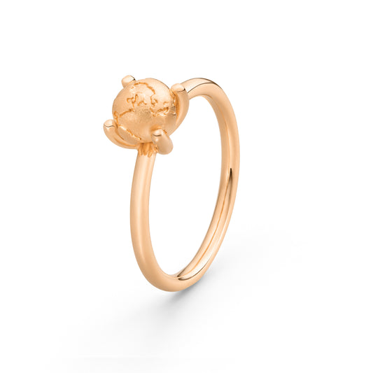 World-Ring No.1 // Krappenfassung